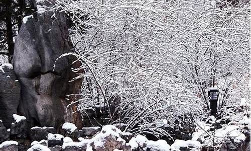 雪兆丰年是什么意思生肖_雪兆丰年是什么意思