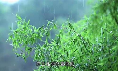 春雨贵如油是谚语还是俗语_春雨贵如油