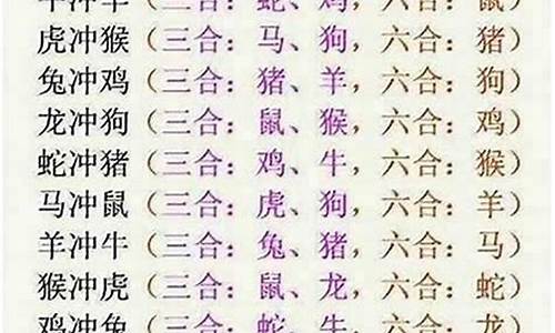 唯命是从是什么生肖_唯命是从比喻什么生肖