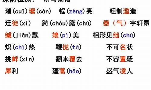 成语及运用_成语运用题解题技巧