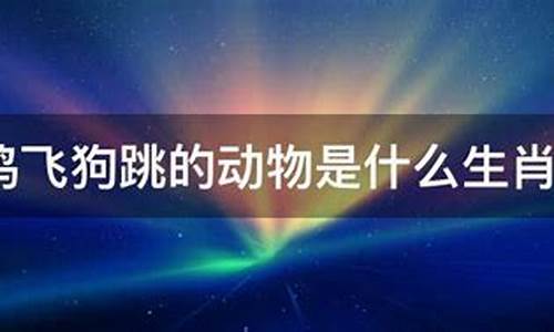 鸡飞狗跳是什么生肖?_鸡飞狗跳打一生肖是什么寓意