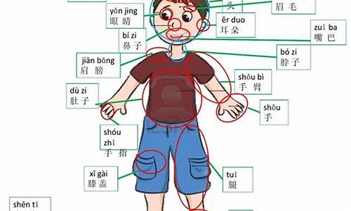 带有人体部分的成语_带有人体部分的成语有哪些