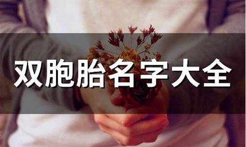 双胞胎名字是一对成语_双胞胎名字是一对成语男孩